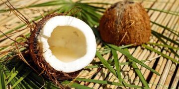 Latvia’s Bleached Sulphate Pulp Market Report 2025 – Prices, Size, Forecast, and Companies – IndexBox