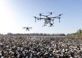 At least 20 people killed in Sudan after a suspected drone strike hits a prison – ClickOnDetroit