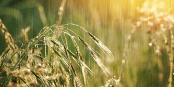 Above normal rainfall is forecast for southwest monsoon in Asia – World Meteorological Organization WMO