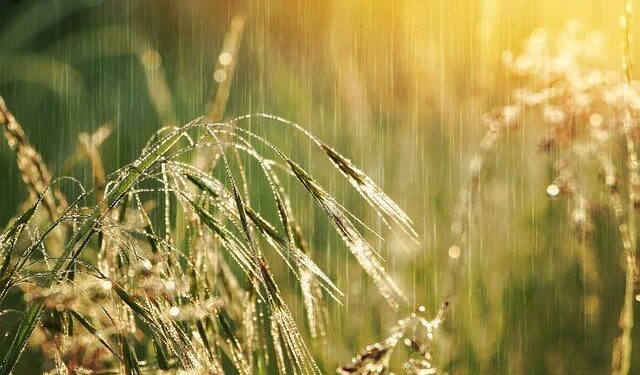 Above normal rainfall is forecast for southwest monsoon in Asia – World Meteorological Organization WMO