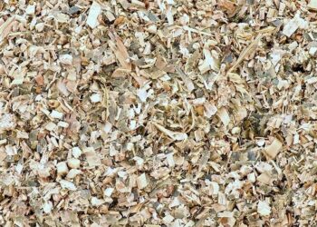 UK’s Maize Bran Market Expected to Grow at a CAGR of +0.4% over the Next Decade, Reaching $16M by 2035 – IndexBox