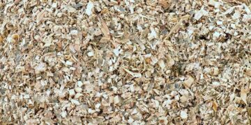 UK’s Maize Bran Market Expected to Grow at a CAGR of +0.4% over the Next Decade, Reaching $16M by 2035 – IndexBox