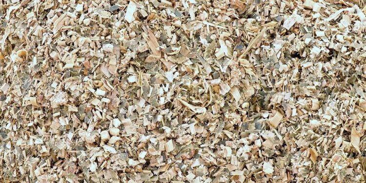 UK’s Maize Bran Market Expected to Grow at a CAGR of +0.4% over the Next Decade, Reaching $16M by 2035 – IndexBox