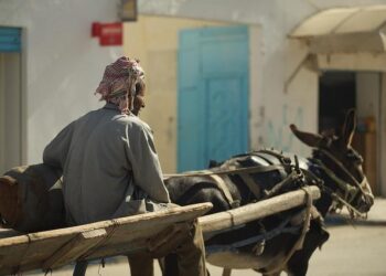 Tunisia: Drastic Closure of Civic Space – Human Rights Watch