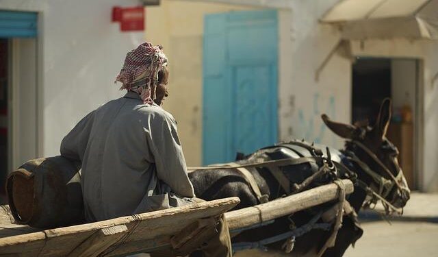 Tunisia: Drastic Closure of Civic Space – Human Rights Watch