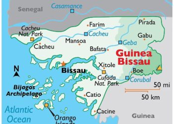 Tensions rise in Guinea-Bissau over president’s mandate expiration date – africanews.com