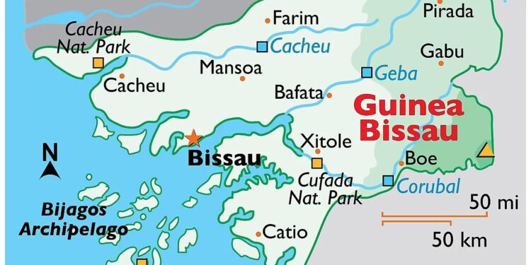 Tensions rise in Guinea-Bissau over president’s mandate expiration date – africanews.com