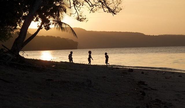 New U.S tariff offers potential advantage for Vanuatu kava – Islands Business