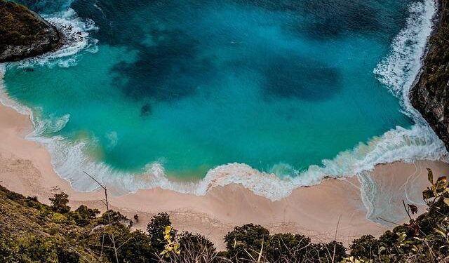 How the infamous Pitcairn Island became a model of ocean conservation – New Scientist