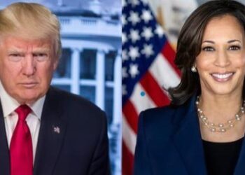 How the Pacific Voted in the US Election – The Diplomat – Asia-Pacific Current Affairs Magazine