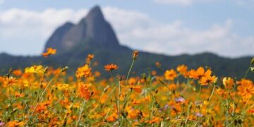 Down South by Tom Poland: Nailing Down a Mystery – Georgetown And Beyond News