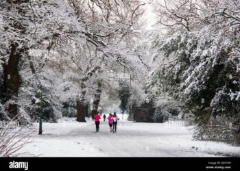 Temperatures to top 25C as Southampton to be hotter than Malta this week – Yahoo News UK