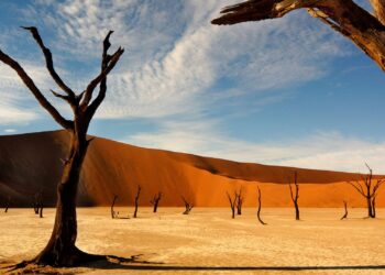 Namibia will have its first female leader after VP wins presidential election for the ruling party – AP News