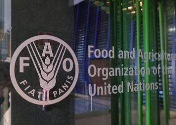 FAO assists Guinea-Bissau in acceding to the PSMA | Agreement on Port State Measures (PSMA) – Food and Agriculture Organization