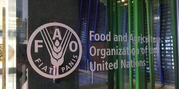 FAO assists Guinea-Bissau in acceding to the PSMA | Agreement on Port State Measures (PSMA) – Food and Agriculture Organization