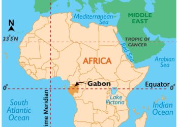 Gabon Moves Ex-President Bongo’s Family To House Arrest – Voice of Nigeria