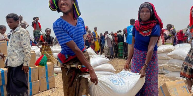 Ethiopia: Urgent international action needed to end mass arbitrary detentions in the Amhara Region – Amnesty International