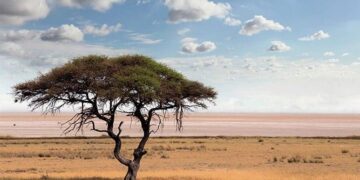 Botswana safest country in Africa, Spanish foreign ministry says – Euronews