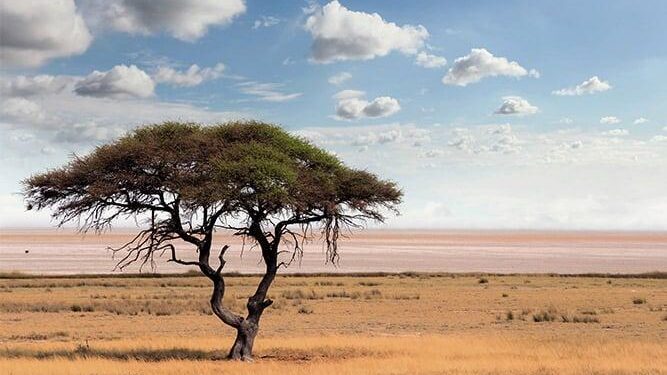 Botswana safest country in Africa, Spanish foreign ministry says – Euronews