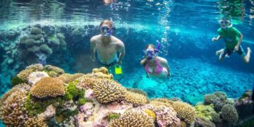Niue: The tiny Pacific island home to some seriously good food – Stuff