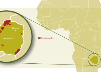 Zimbabwe: President Signs Law to Curb Civic Space – Human Rights Watch