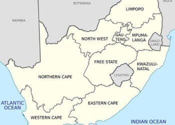 South Africa’s Ramaphosa looks to repair US ties with Musk investment push – Business Insider Africa