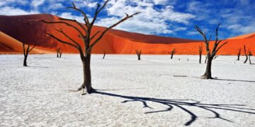 Namibia’s female VP leads in presidential election marred by problems and opposition complaints – AP News