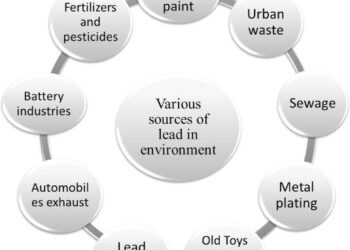 This may be the most lead polluted place on Earth. Is there any hope? – NPR