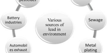 This may be the most lead polluted place on Earth. Is there any hope? – NPR