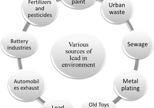 This may be the most lead polluted place on Earth. Is there any hope? – NPR