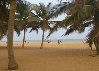 After constitutional change, Togo’s parliament appoints country’s leader to top position – ConstitutionNet