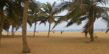 After constitutional change, Togo’s parliament appoints country’s leader to top position – ConstitutionNet