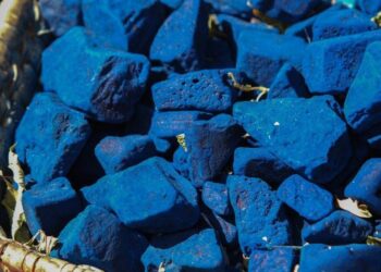 IndiGo connects Mumbai to Seychelles, to launch Bhubaneshwar-Goa next week – Times of India