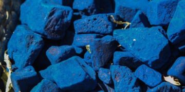 IndiGo connects Mumbai to Seychelles, to launch Bhubaneshwar-Goa next week – Times of India