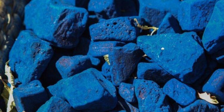 IndiGo connects Mumbai to Seychelles, to launch Bhubaneshwar-Goa next week – Times of India