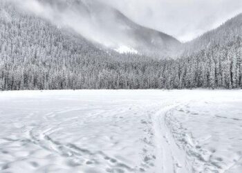 Snow falls on Mount Saint Helena – Sonoma Index-Tribune