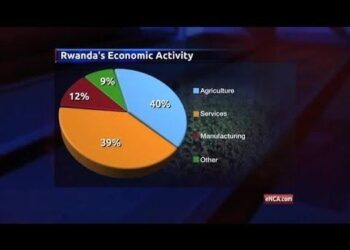 Rwanda economy to grow at slower pace in 2025, finance minister says – Reuters