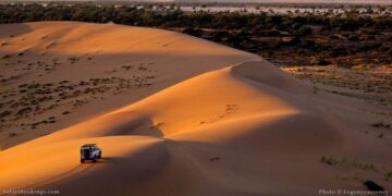 ‘Desert of Namibia’ Review: Ups and Downs – The New York Times