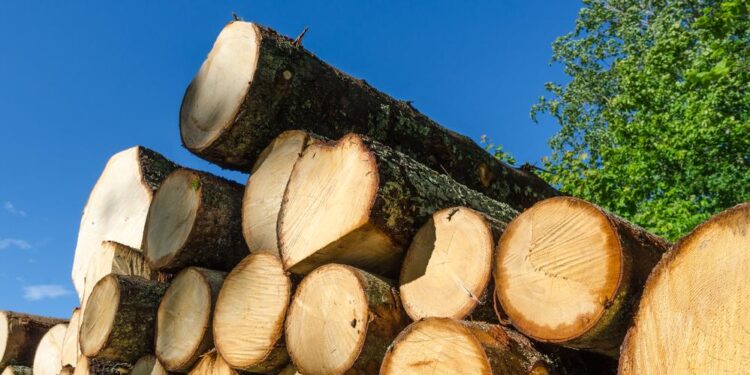 Exports of lumber from European Union to Morocco increase 38% in March – lesprom.com