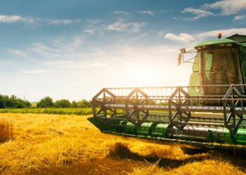 Leaders in agriculture industry push back on Make America Healthy Again report – KMTV 3 News Now Omaha