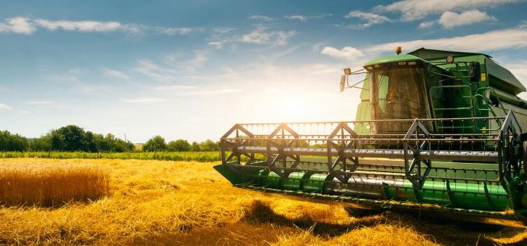 Leaders in agriculture industry push back on Make America Healthy Again report – KMTV 3 News Now Omaha