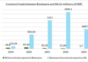 Botswana wants to deepen trade with EU amid Trump’s trade tariffs – Euronews.com