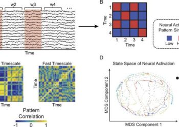 The role of mesoscale-driven connectivity patterns in coral recovery around Moorea and Tahiti, French Polynesia – Nature