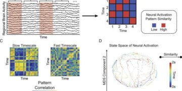The role of mesoscale-driven connectivity patterns in coral recovery around Moorea and Tahiti, French Polynesia – Nature