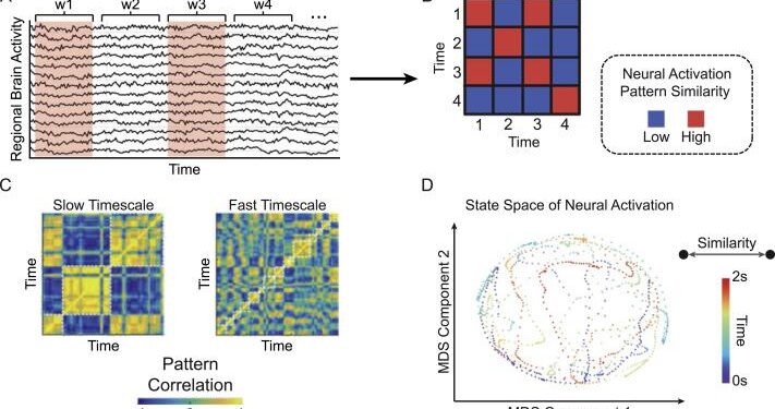 The role of mesoscale-driven connectivity patterns in coral recovery around Moorea and Tahiti, French Polynesia – Nature