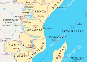 East Africa’s longest bridge nears launch as Tanzania wraps $260 million project – Business Insider Africa