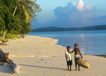 Papua New Guinea progresses digital currency explorations – Global Government Fintech