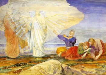 This Oregon man quit his job and sailed into internet fame with his cat — now he’s in Hawaii – Oregon Public Broadcasting – OPB