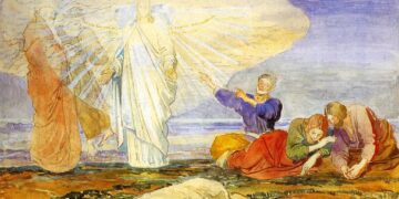 This Oregon man quit his job and sailed into internet fame with his cat — now he’s in Hawaii – Oregon Public Broadcasting – OPB