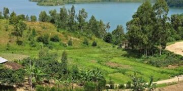Rwanda travel – Lonely Planet